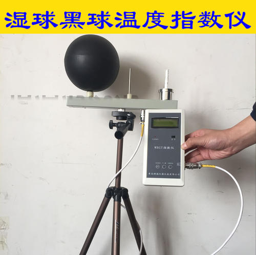 黑球溫度室外測量廠家直銷價